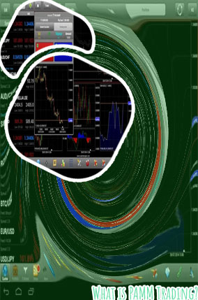 Best pamm forex brokers
