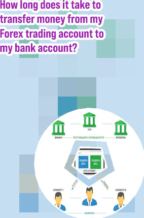 Forex broker bank
