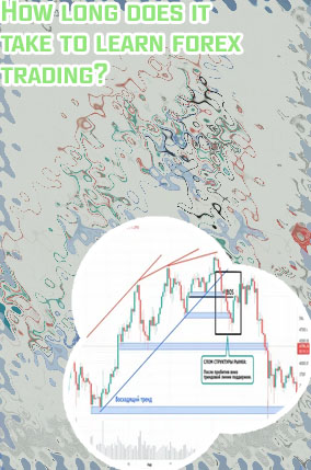 How long does it take to understand forex trading