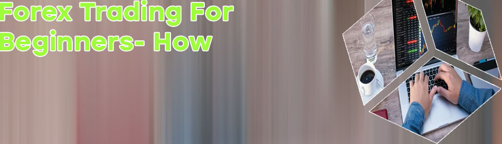 How to start your own forex trading fund
