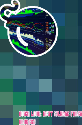 Interest free forex brokers