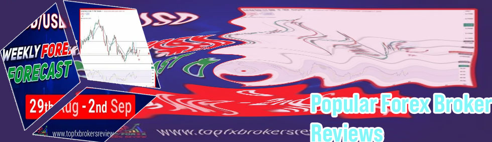 Top forex brokers reviews
